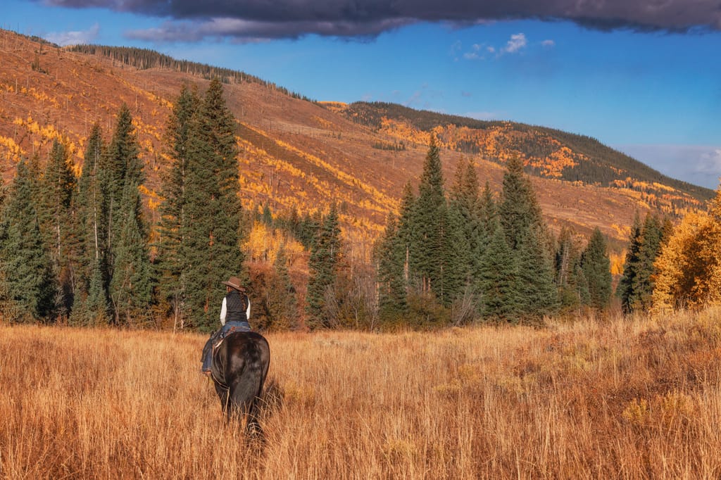 Horseback ride autumn Steamboat Springs Colorado