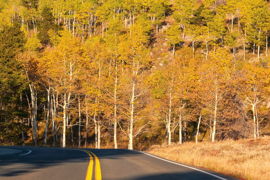 Autumn drive Steamboat Springs Colorado
