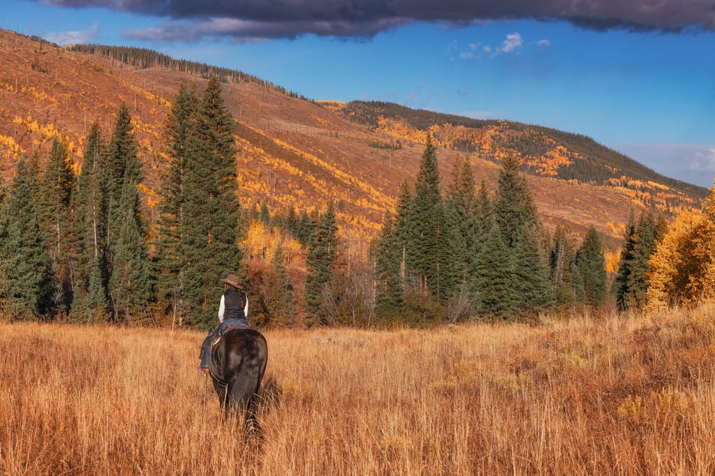 Horseback ride autumn Steamboat Springs Colorado