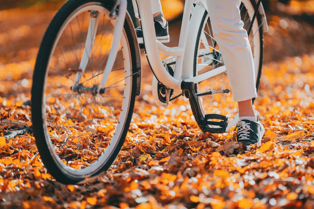 Autumn bike Steamboat Springs Colorado