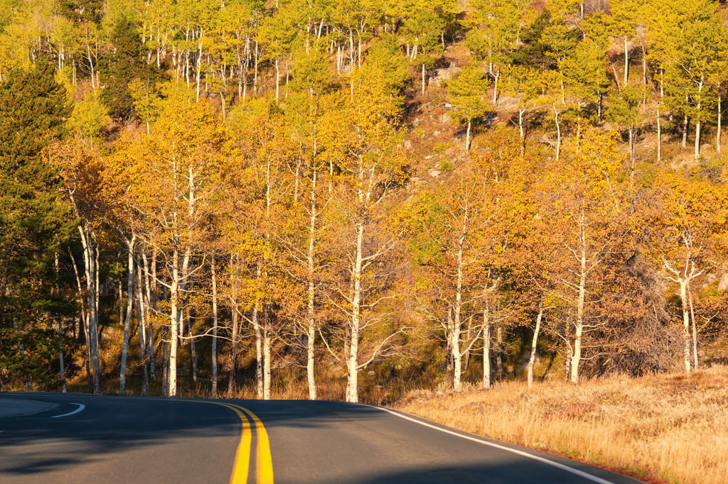 Autumn drive Steamboat Springs Colorado