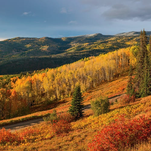 Autumn Sunset in Steamboat Springs Colorado
